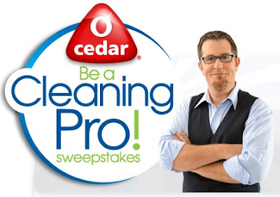 O-Cedar Be a Pro
