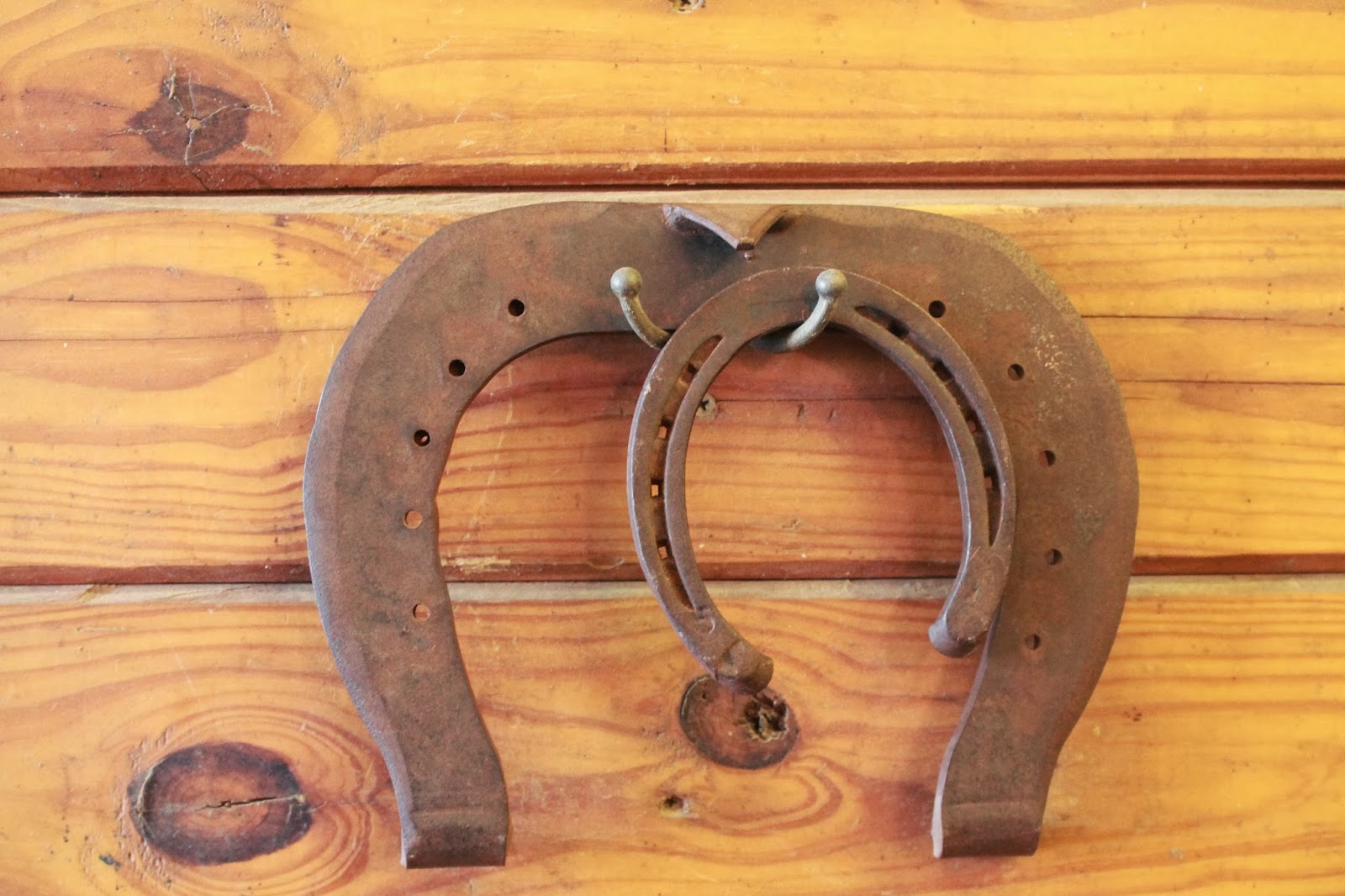 American Attractions Express Clydesdales Ranch