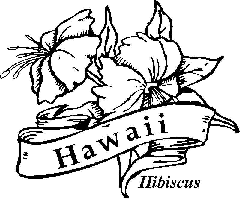 Hawaiian Flower Coloring Pages - Flower Coloring Page