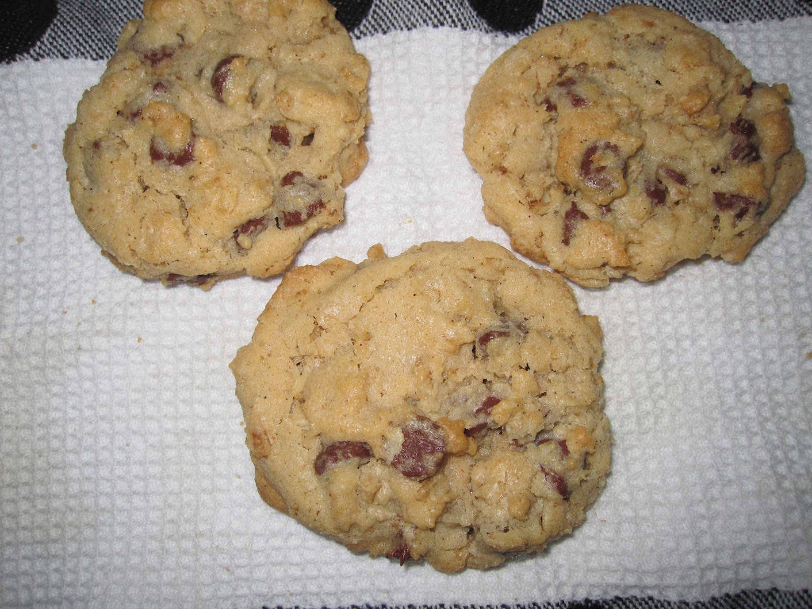 Yo Ho Yo Ho A Blogger's Life For me! Disneyland Oatmeal Chocolate chip