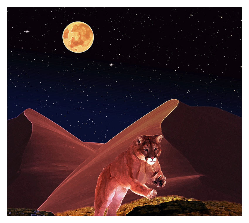 Plumes Des Villes Et Plumes Des Champs Les Animaux Fantastiques