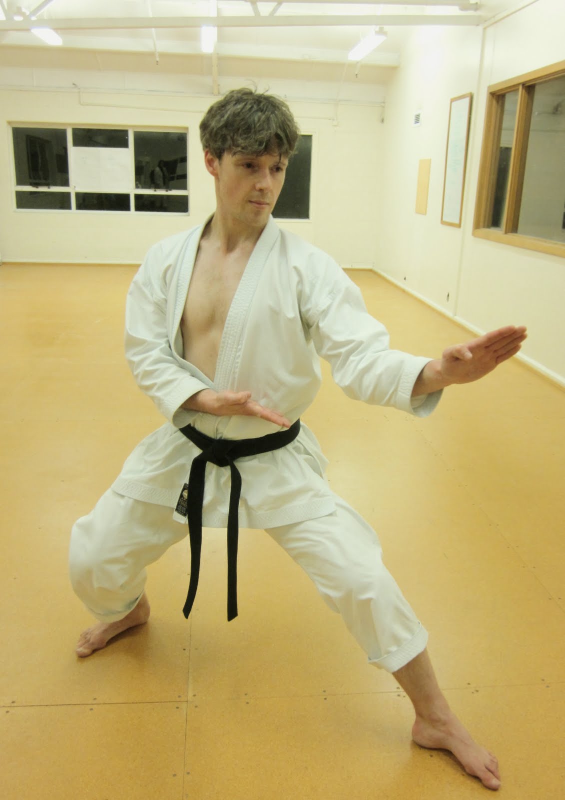 André Bertel's Karate-Do: 精神と技法 : PART TWO