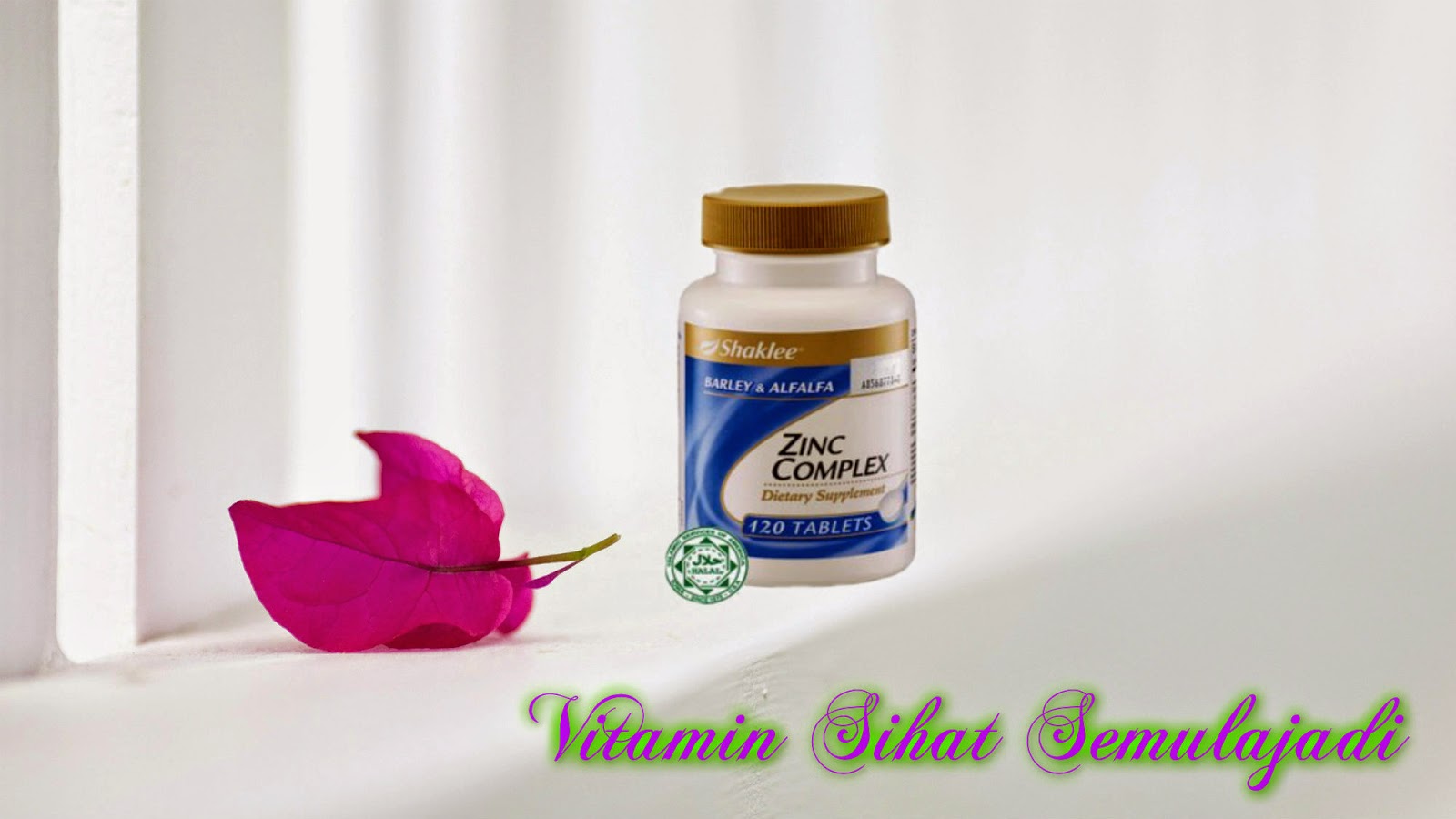 kebaikan dan manfaat Zinc Vitamin Sihat Semulajadi