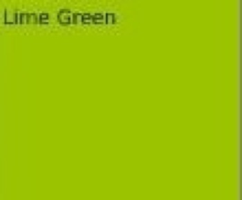 a kitchen table for two visitors and projects lime green color chart