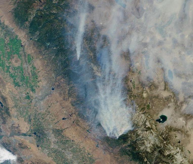 New Deal of the Day Letting our forests burn to the ground, out of