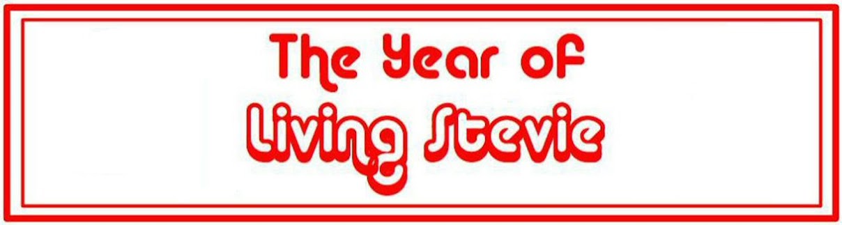 The Year of Living Stevie