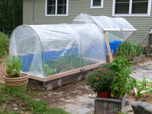 Homestead Revival: Inspiration Friday: Fall Vegetable Gardens!