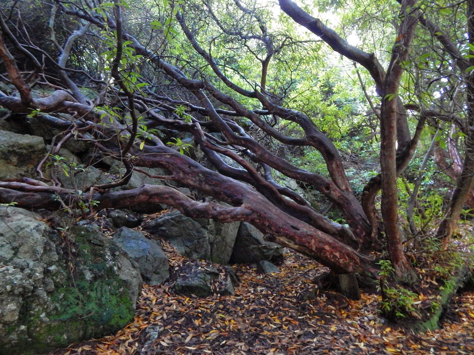 Get Sprueche himmel und erde Free HD