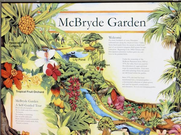 A Guide To Northeastern Gardening Mcbryde Botanical Gardens