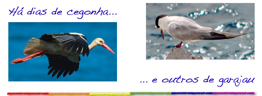 Há dias de cegonha e outros de garajau