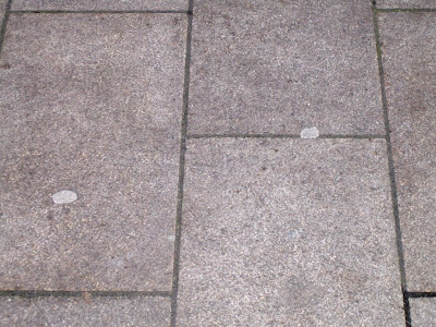 Rafter%2BSt%2B004.JPG