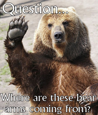 A bear questioning the second amendment