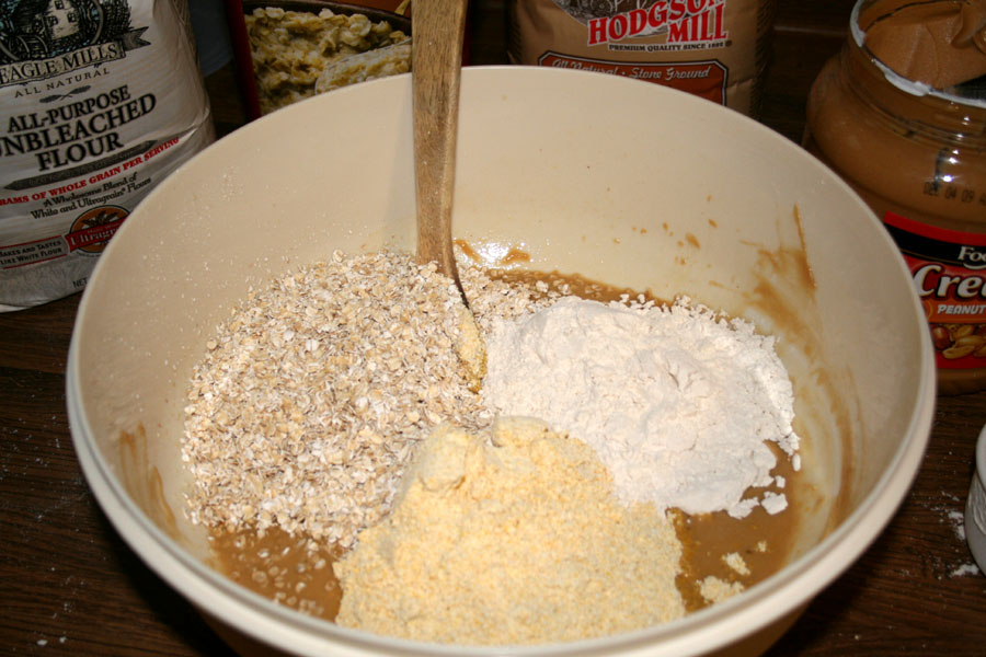 Vickie Henderson Art Peanut Butter Suet Recipe