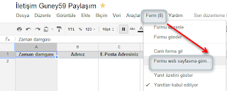 İletişim sayfasında formu web sayfasına göm anlatımı