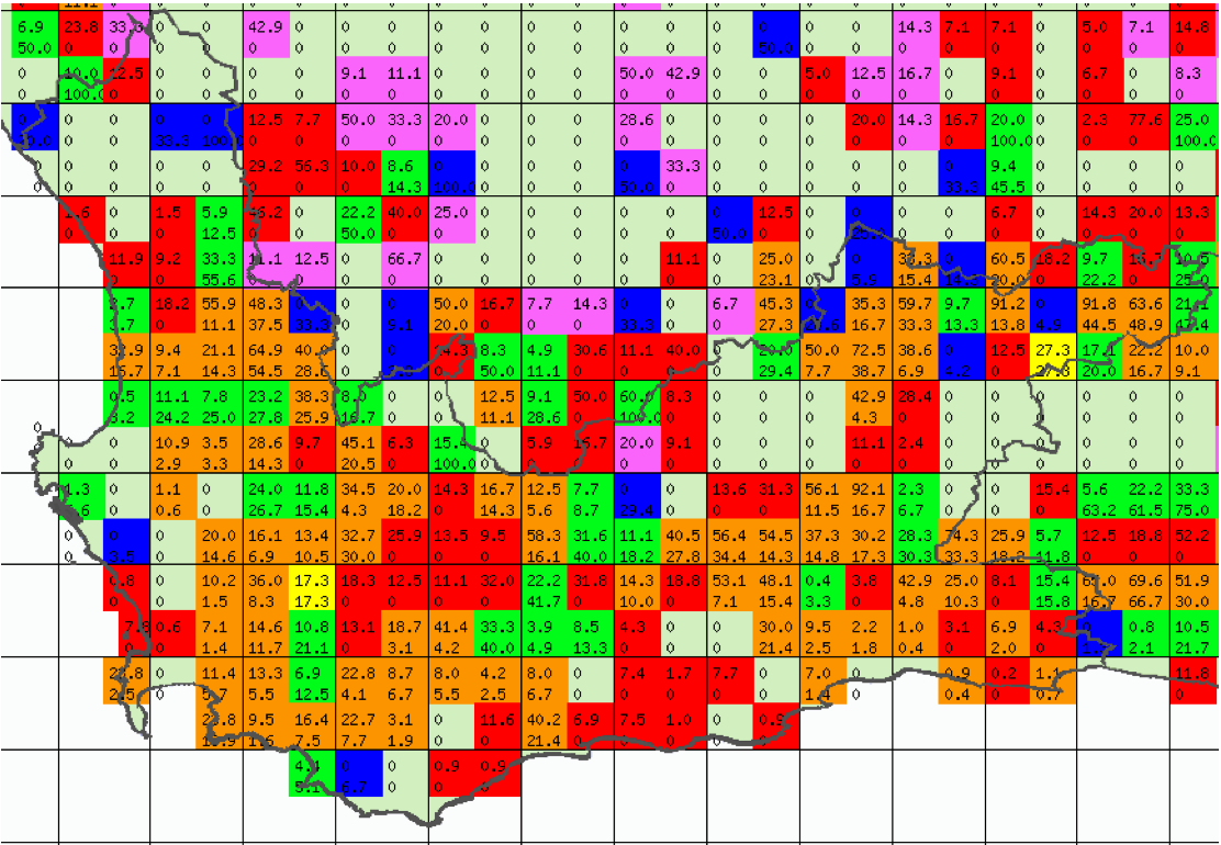 The Black Eagle Project About the Black Eagle