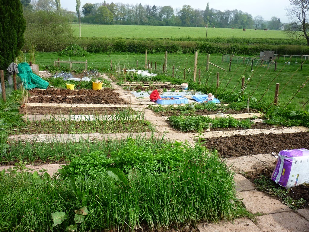 An English Homestead Setting Up Garden Infrastructure