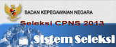 Web CPNS 2013