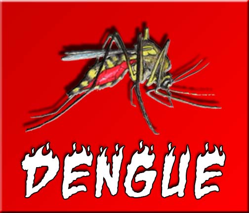 Materi Penyuluhan Dengue Hemoragic Fever (DHF/DBD) "LIVE