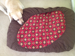 DIY NO SEW Doggy Bed or Floor Pillow TiPs *N* GiGgLeS!