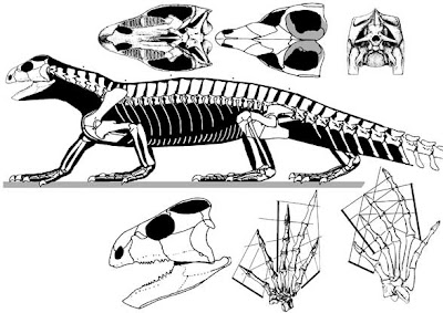 Trilophosaurus