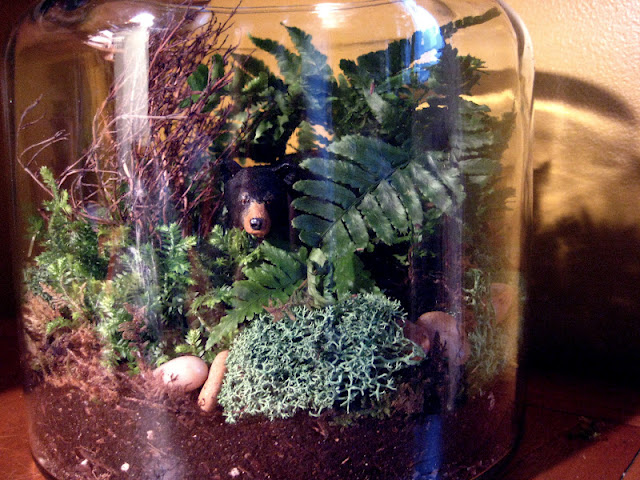 From Scratch: Terrarium Fever!
