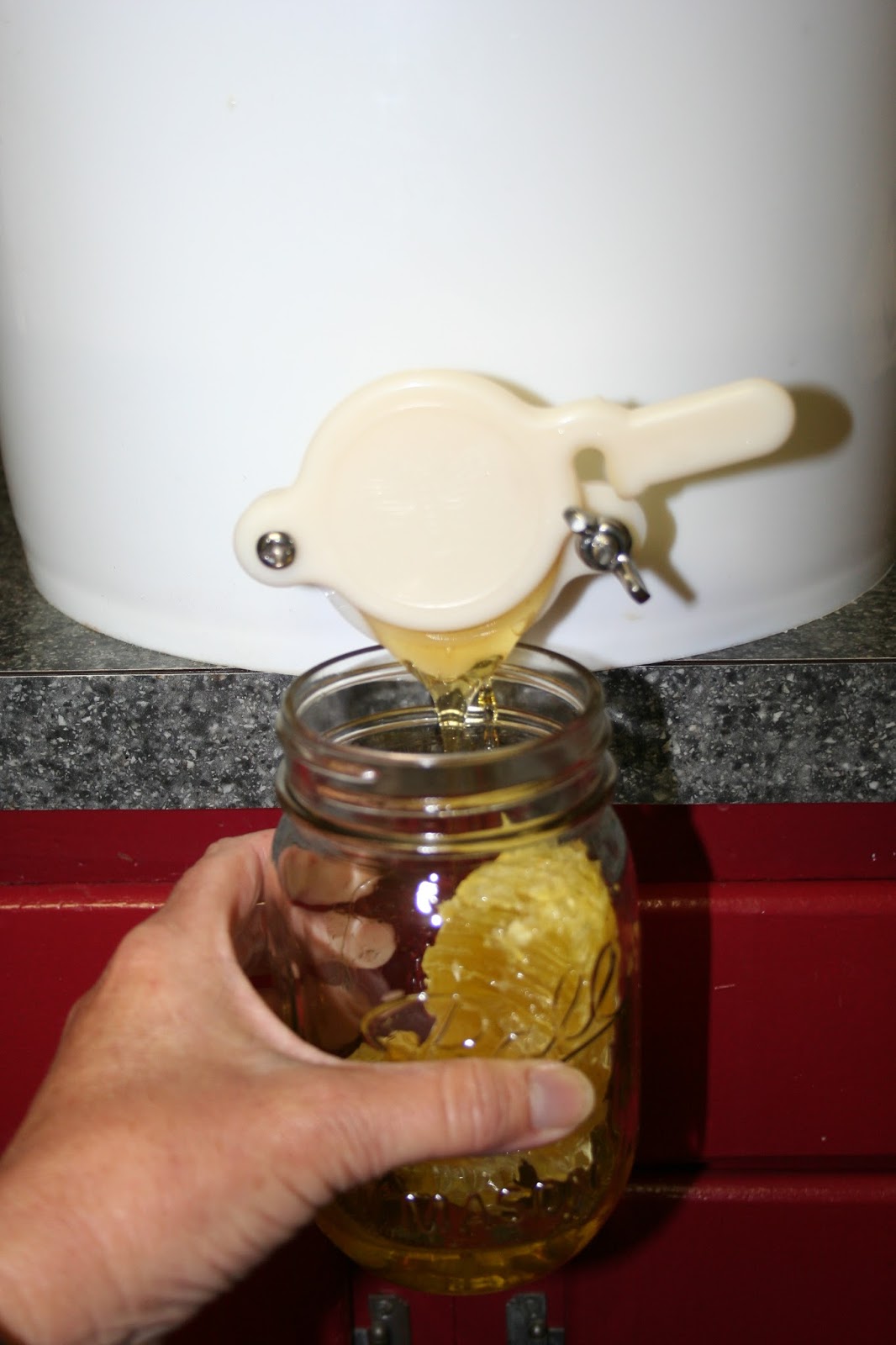 chicken scratch poultry Bottling Honey & The Clean Up