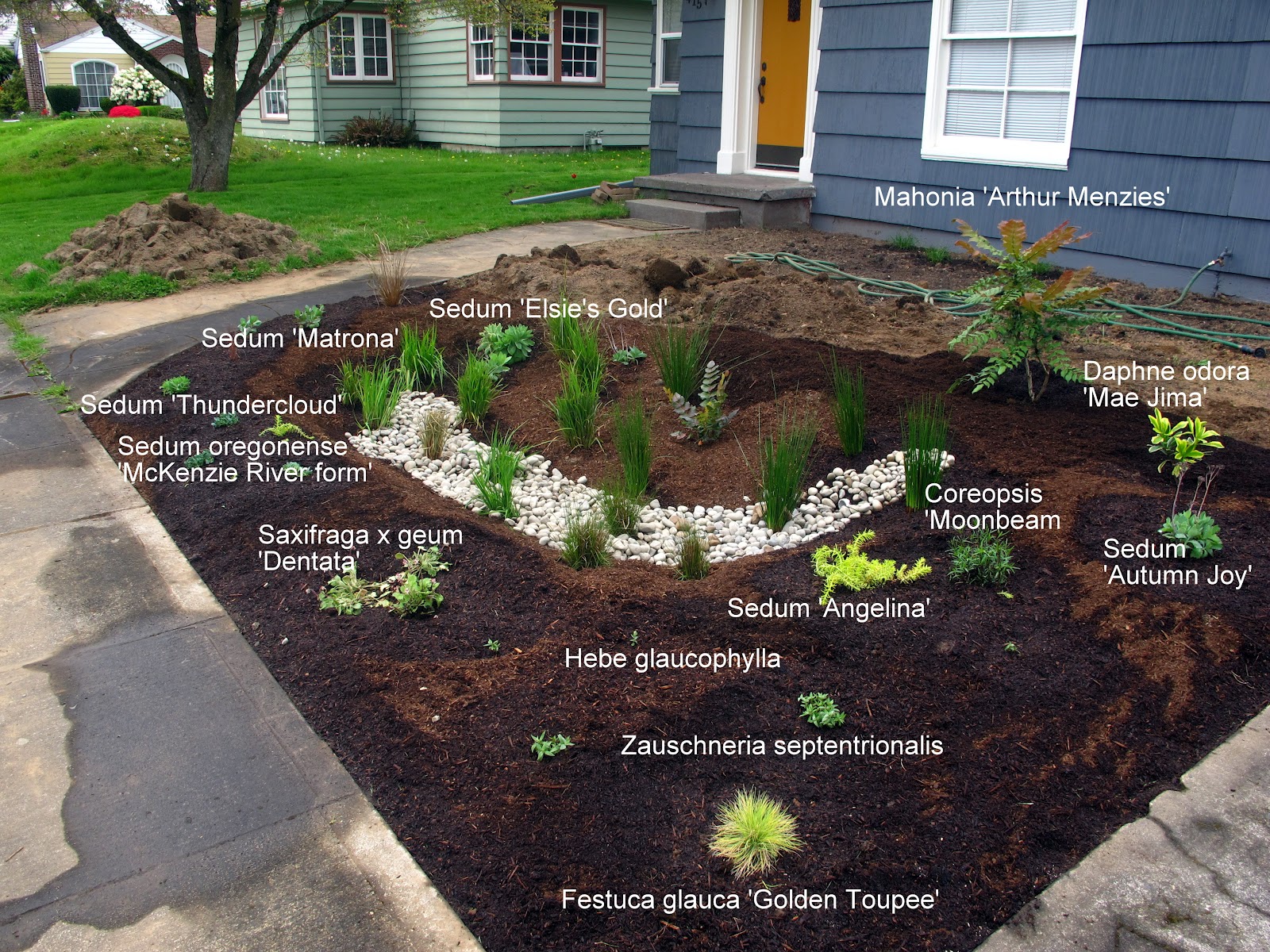 Keeping The Garden Interesting Through Winter