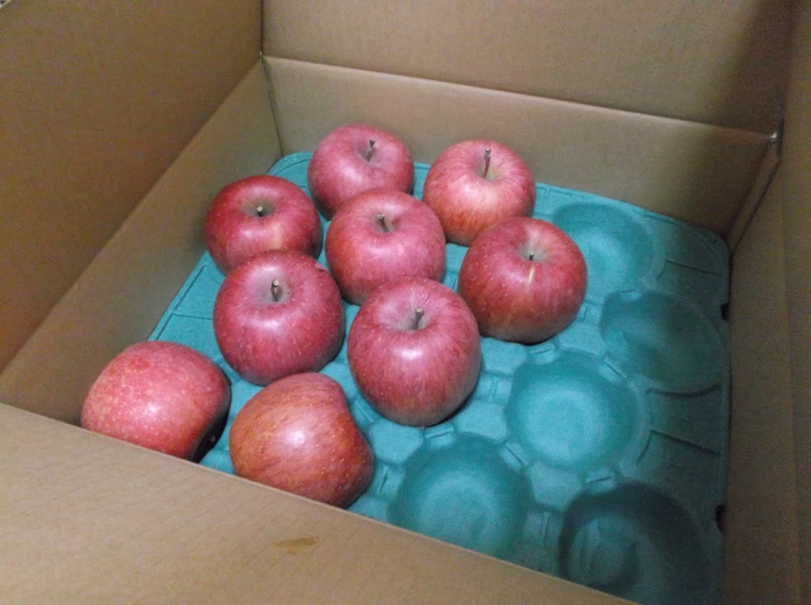 Hiroyuki's Blog on Japanese Cooking Sun Fuji Apples Simmered with