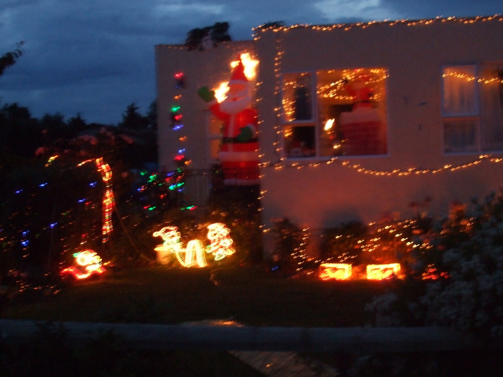 the jourknow: The New Zealand Diaries: No.6 - Christmas down under