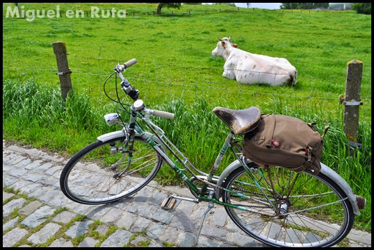 Ardenas-Flamencas-Koppenberg