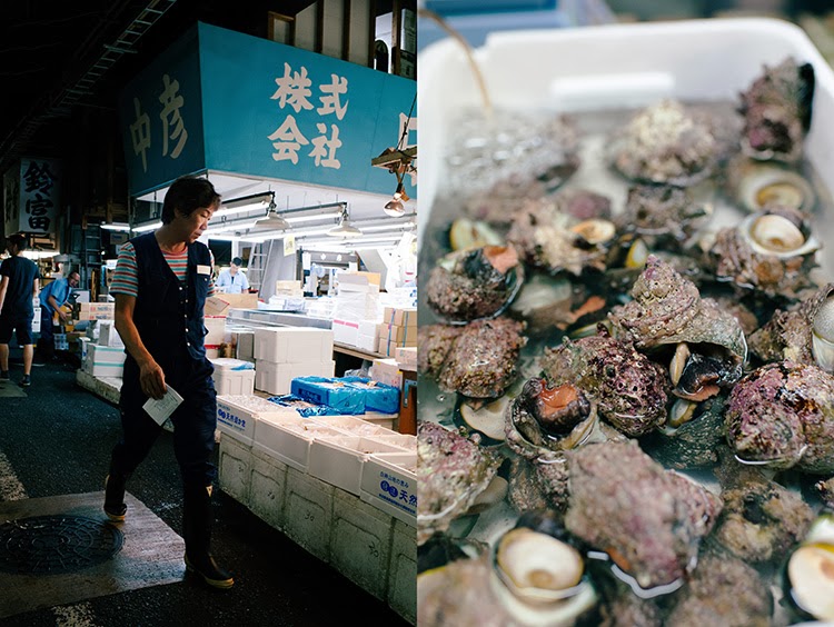 Tsukji Fish Market, Tokyo Japan