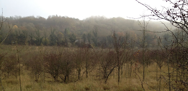 Cudham Valley, looking towards Cudham. 19 November 2011. Cudham Valley, looking towards Cudham. 19 November 2011.