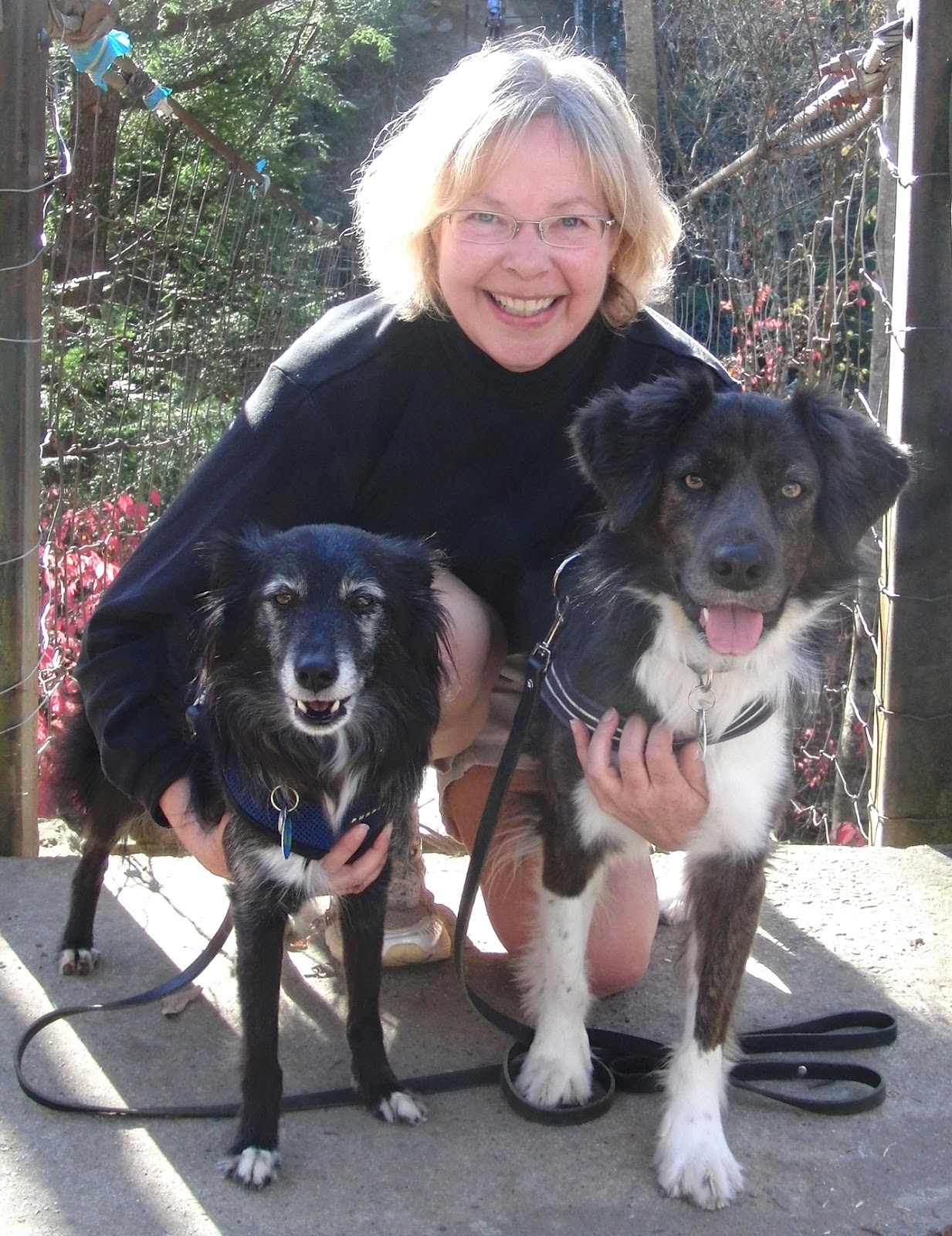 The Days of Johann, an agility dog! Our trip to Fall Creek Falls State