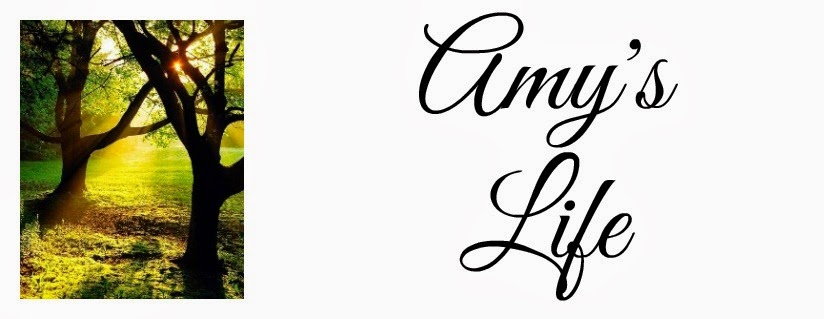 Amy's Life
