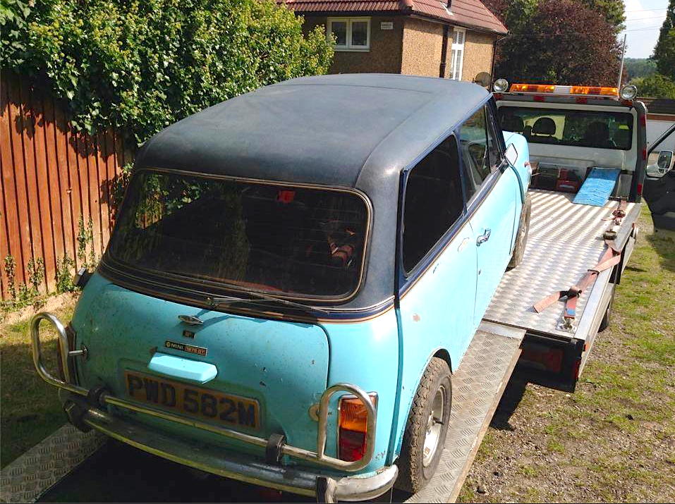 Maximum Mini Rotten Wood & Picketts resurface