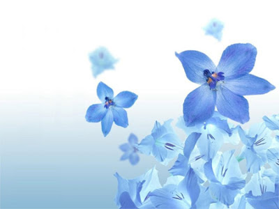 Flowers Desktop Wallpaper