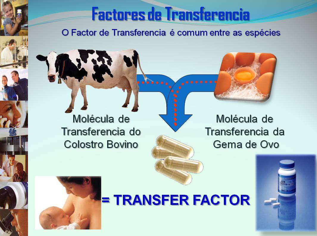 Saúde Transfer Factor