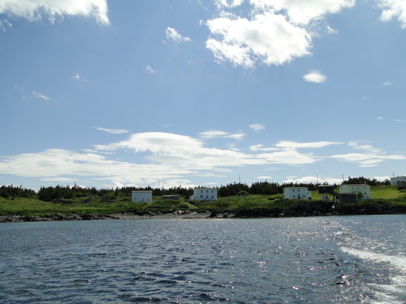 A Fresh Take On Birding St. Brendans