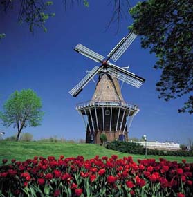 windmill2.jpg