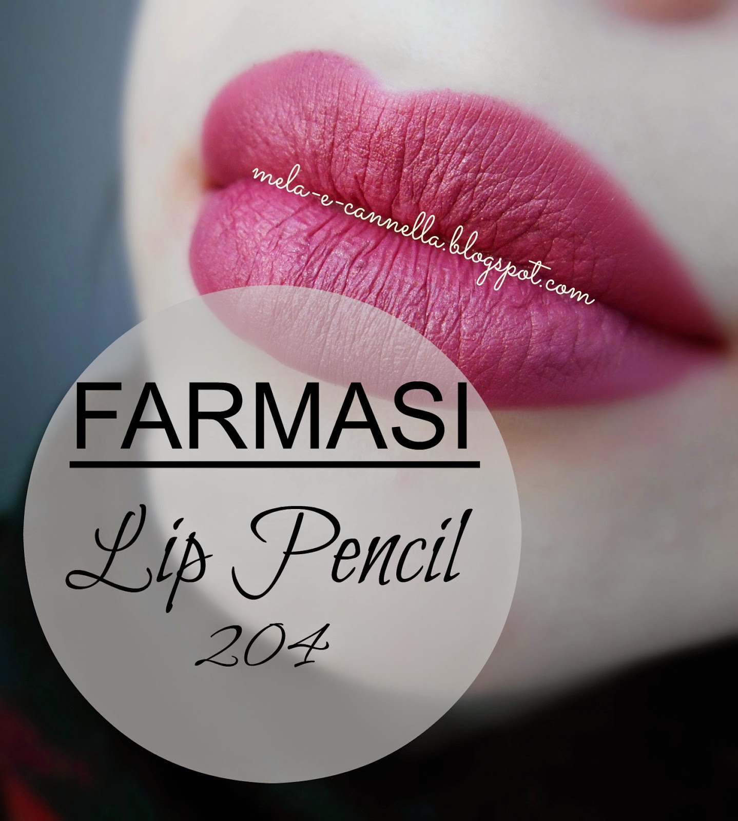 melaecannella Farmasi lip pencil 204