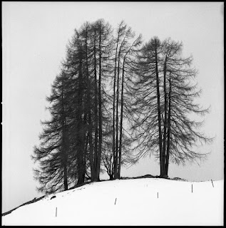 Im winterlichen Davos