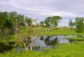 Eenvoud in samenhang: het verbinden van Waterbeheer en Systeemecologie voor duurzaam oppervlaktewaterherstel. Bron foto: http://www.wageningenur.nl/nl/nieuws/Eenvoud-in-samenhang-het-verbinden-van-waterbeheer-en-systeemecologie.htm