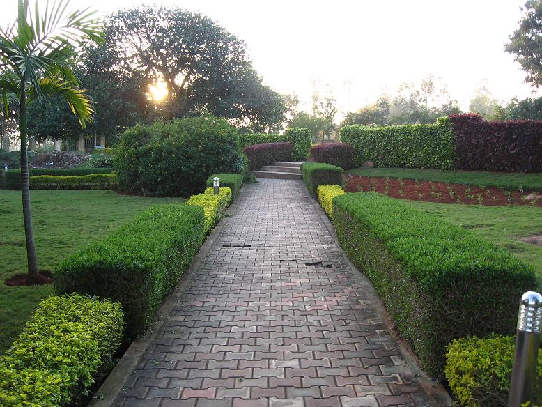 Indian Columbus Yelagiri Hills