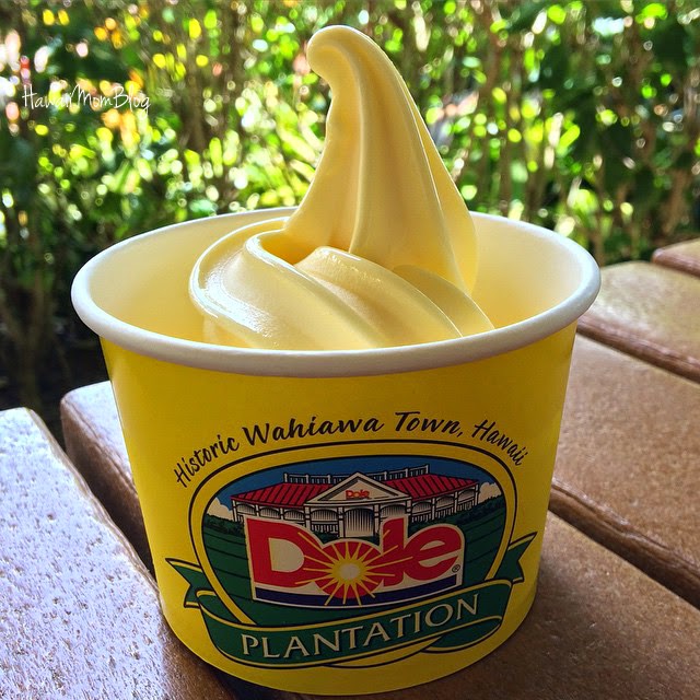 Hawaii Mom Blog A FunFilled Day at Dole Plantation