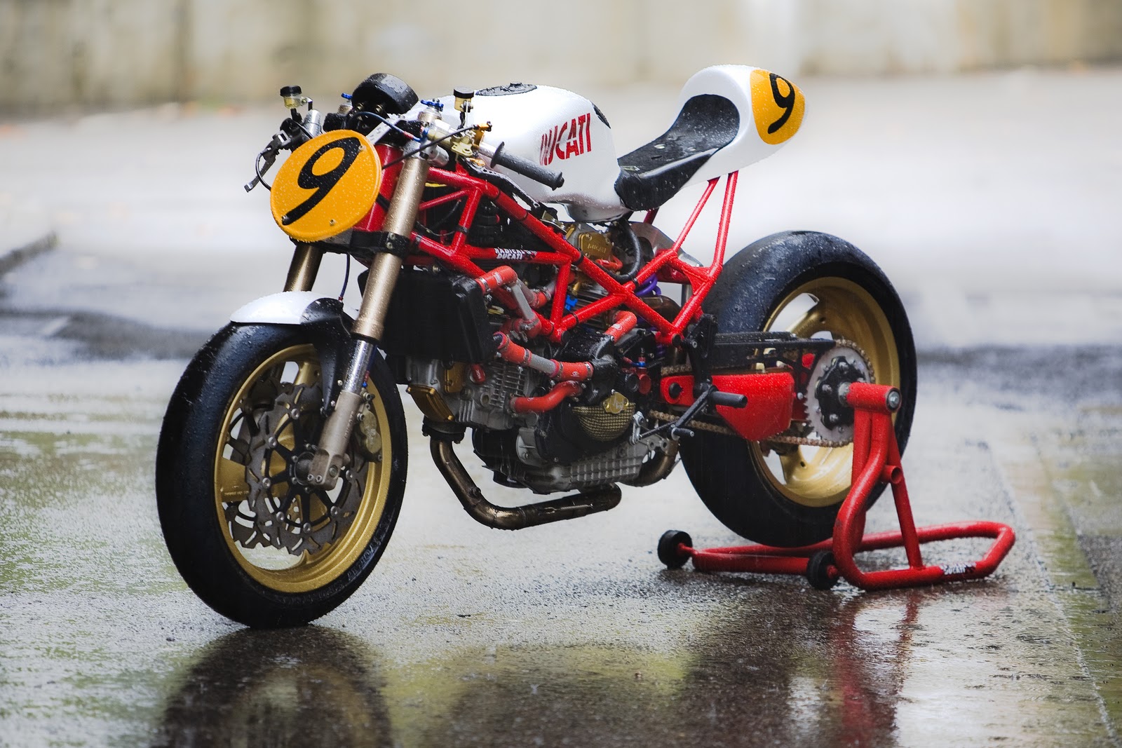 Radical Ducati S.L.: 9 ½ Radical Radical Ducati S.L.: 9 ½ Radical