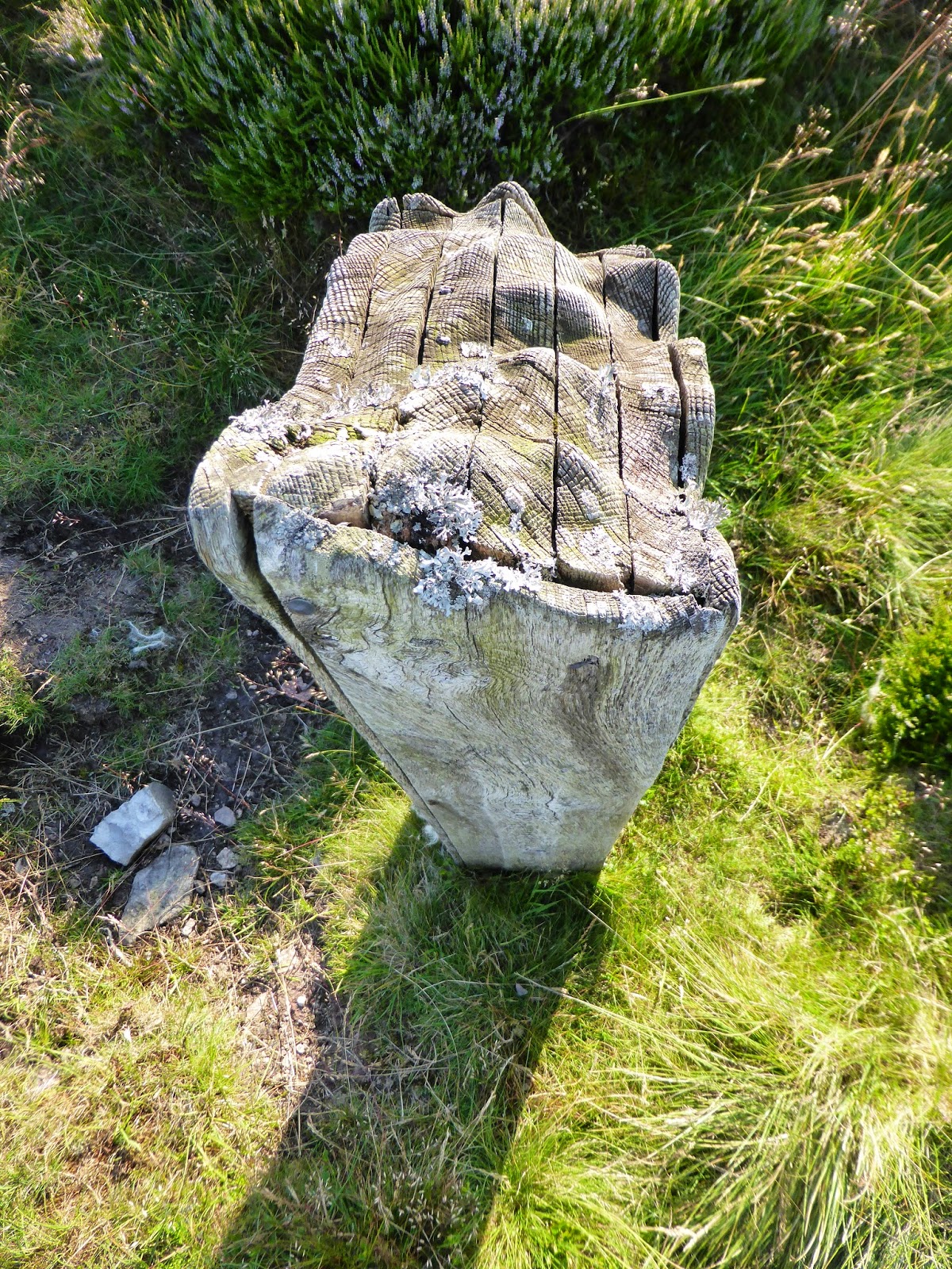 MTB Innerwick Stravaiger The 'Herring Road'