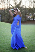 Neelam Upadhyay Hot pics in Blue saree-thumbnail-19