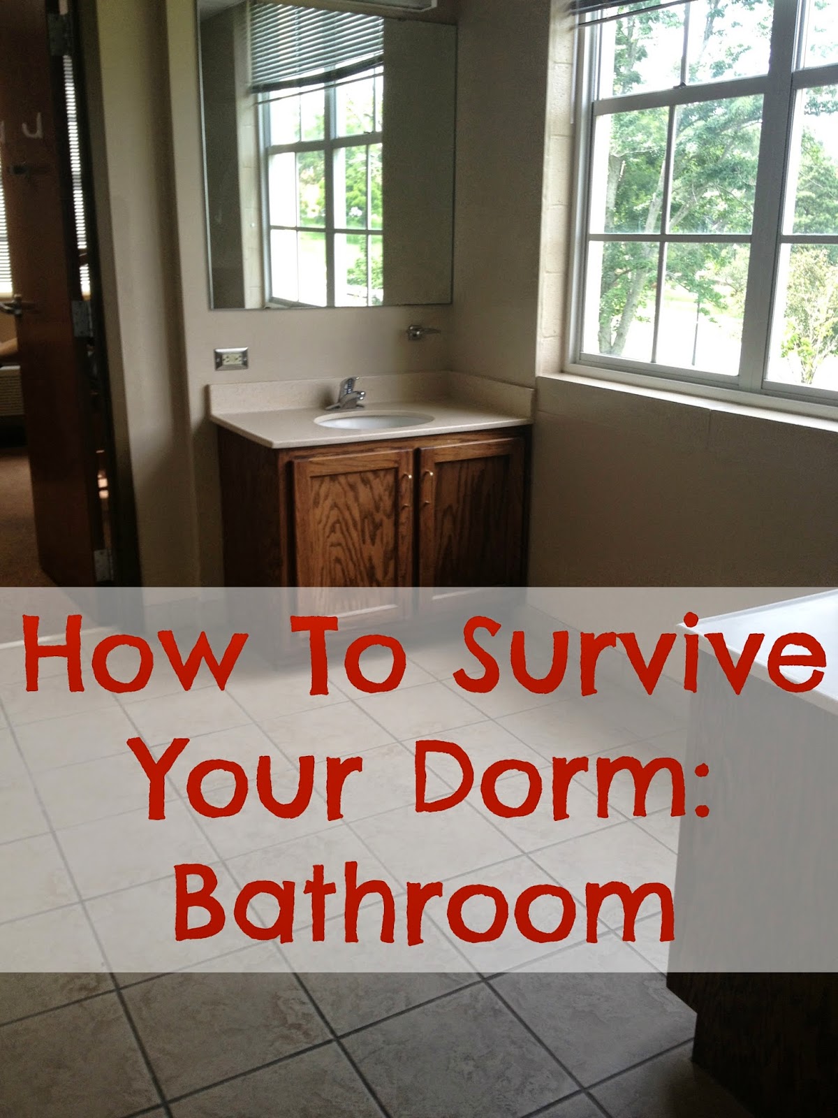 My Life As Hayden How To Survive Your Dorm Room Bathroom