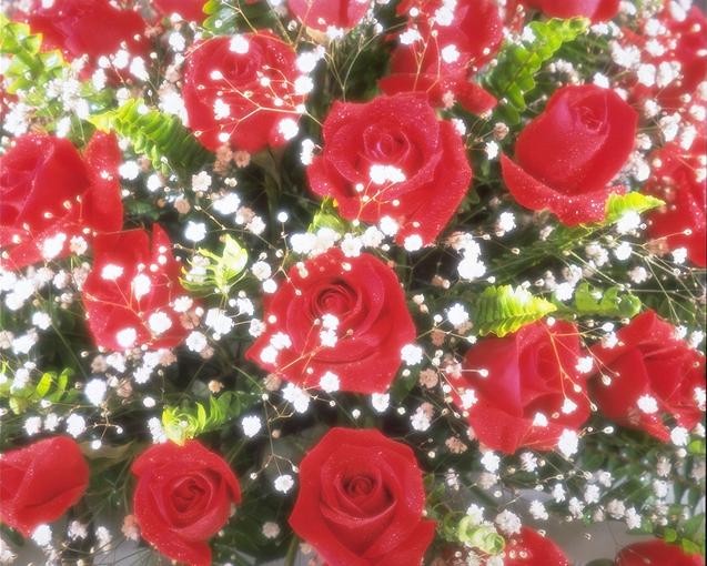 Esperanza Rojas Abela