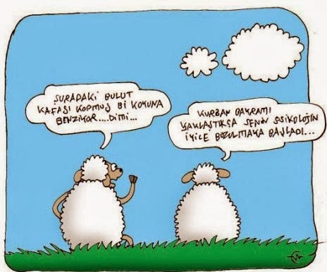 harika blogger guncel bilgi blogu kurban bayrami tebrik mesajlari